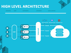 network_overview.png